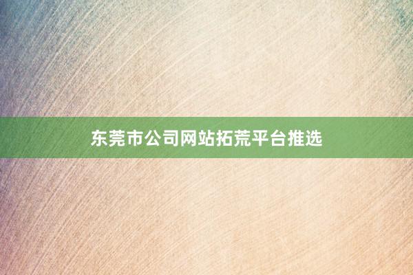 东莞市公司网站拓荒平台推选
