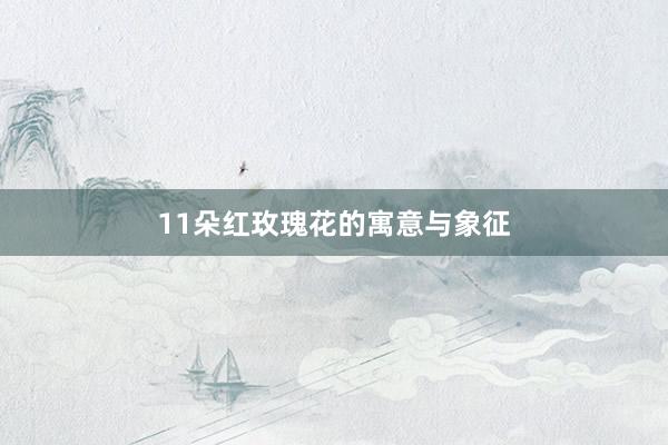 11朵红玫瑰花的寓意与象征