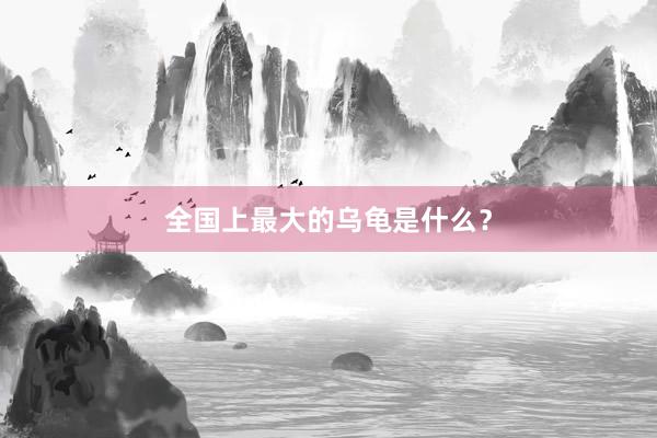 全国上最大的乌龟是什么？